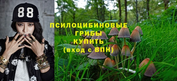 ГАЛЛЮЦИНОГЕННЫЕ ГРИБЫ Гусь-Хрустальный