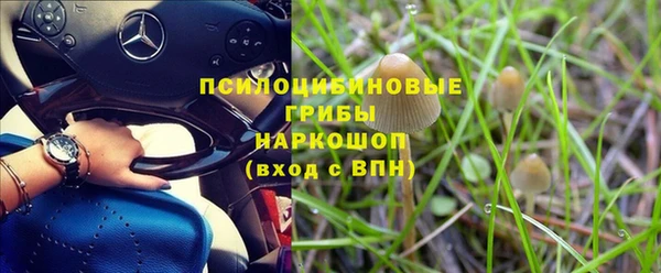 хмурый Дмитровск
